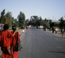 Fiore nel Cemento, Etiopia