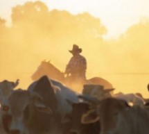 Nicola da Asolo all’Outback in Australia