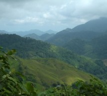 Sei giorni nella giungla in Colombia: Ciudad Perdida