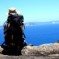 Sicilia: bella ma poco travel friendly?