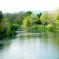 Un pomeriggio al parco: il Bute Park di Cardiff