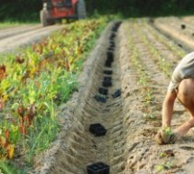 Lavorare viaggiando – Seconda parte