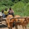 Viaggio in Congo, Africa: diario di viaggio di una viaggiatrice