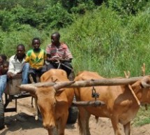 Viaggio in Congo, Africa: diario di viaggio di una viaggiatrice