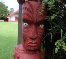 Auckland, Nuova Zelanda: il giro del mondo in 3 settimane continua..