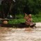Templi, natura e relax – Viaggio in Thailandia e Cambogia – seconda tappa