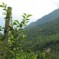 Val di Non: un viaggio tra Mele e Paradiso