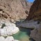 On the Road tra Emirati ed Oman – Settima tappa: Oasi e tartarughe