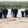 Zambia, una terra che ti regala grandi emozioni