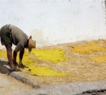 Insolito Marocco: percorsi enogastronomici inediti