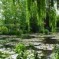 Giverny, Francia: un salto dentro ad un quadro di Monet