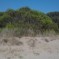 Al di qua dell’Elba: la spiaggia della Polveriera