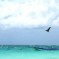 Tulum, mare caraibico e misteriose rovine (Viaggio in Messico, 5 parte)