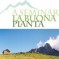 A seminar la buona pianta
