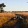 Nel Delta interno dell’Oklavango (Botswana) in un ecosistema unico al mondo