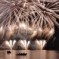 Notte di Fiaba 2012 a Riva del Garda