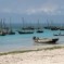 Kendwa e snorkeling intorno all’isola di Mnemba: Zanzibar (3 parte)