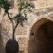 La città viva e vibrante che non ti aspetti: Tel Aviv, Israele