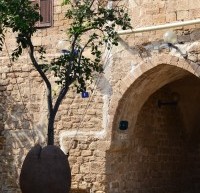 La città viva e vibrante che non ti aspetti: Tel Aviv, Israele