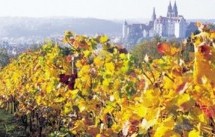 Scoprire la Germania attraverso le sue regioni vinicole