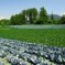 La Valle di Gresta: gli orti bio del Trentino