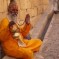 Rajasthan: viaggio nell’India imperiale