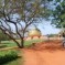 Auroville, un sogno indiano di pace e fratellanza