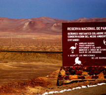 Il deserto e una civiltà scomparsa: la Riserva Nazionale di Paracas in Perù