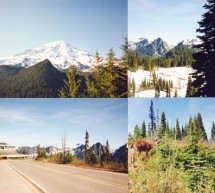 Cartoline da Seattle: perle di un viaggio nell’America che era