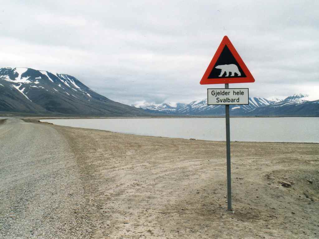 Svalbard - Norvegia