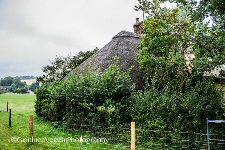 Thatched roofed cottage - Salisbury, Inghilterra (Regno Unito)