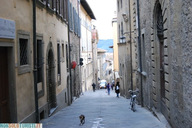 Arezzo, Toscana (Italy)