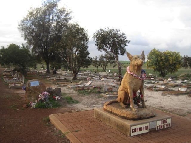 Dog Cimitery - Corrigin, Australia