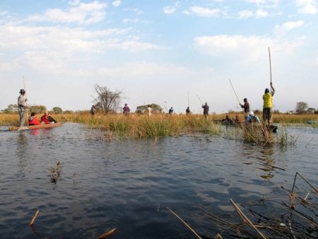 Okavango - Botswana