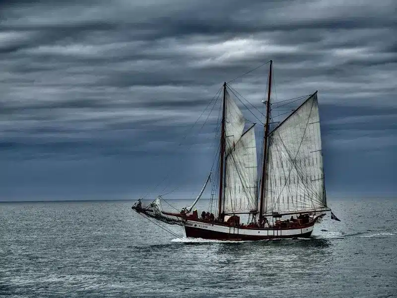 Whale-watching in Islanda