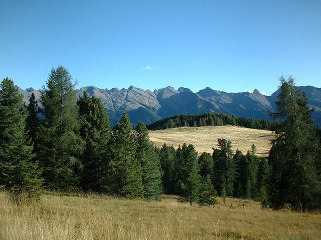 Val di Fiemme, Trentino