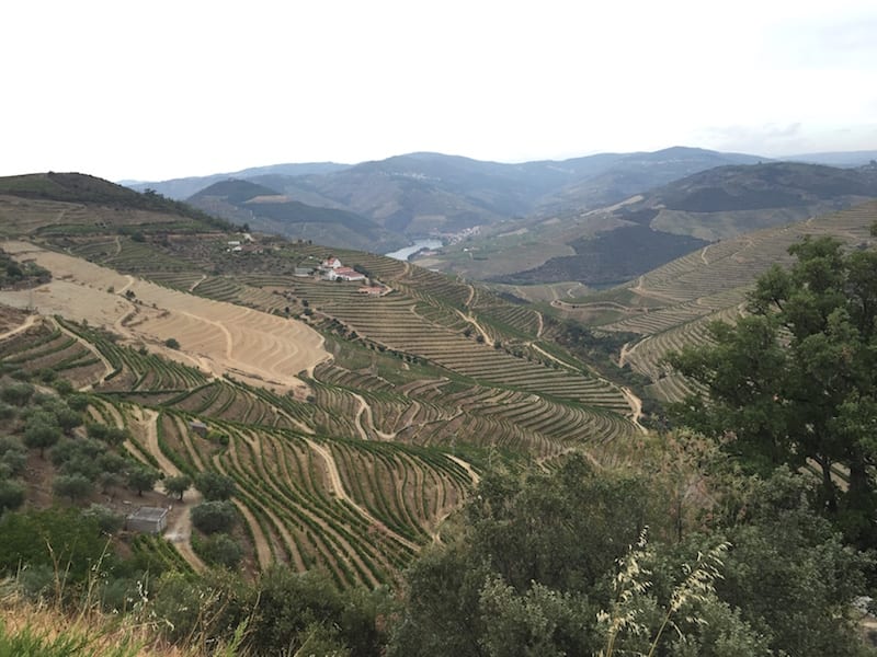 Valle dell'Alto Douro - Portogallo