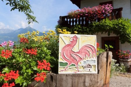 Alto Adige: soggiornare in un maso Gallo Rosso