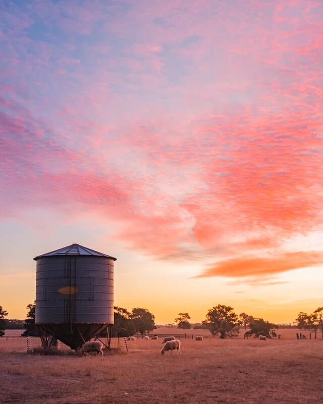 fattoria australia