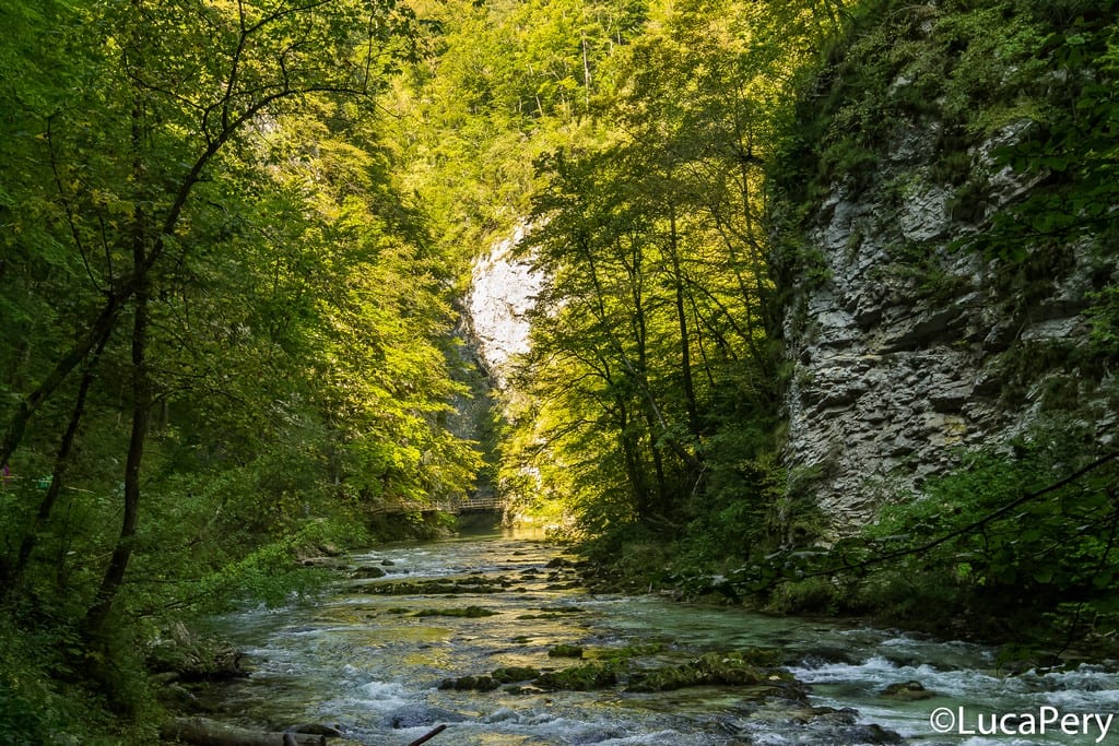 Gola di Vintgar - Slovenia
