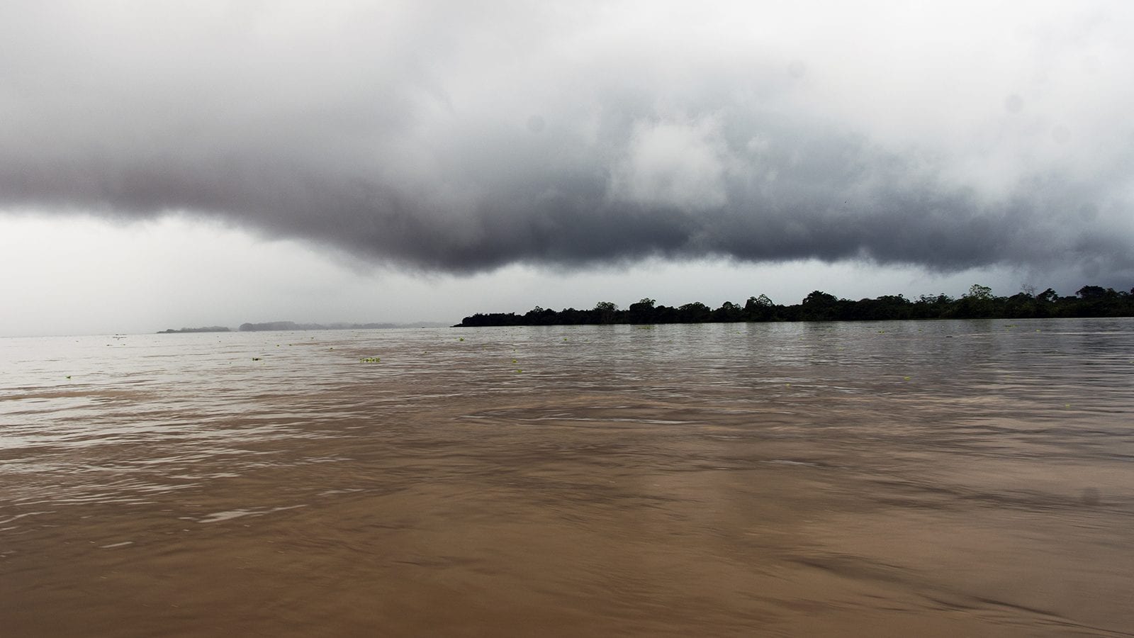 Iquitos e Tahuayo