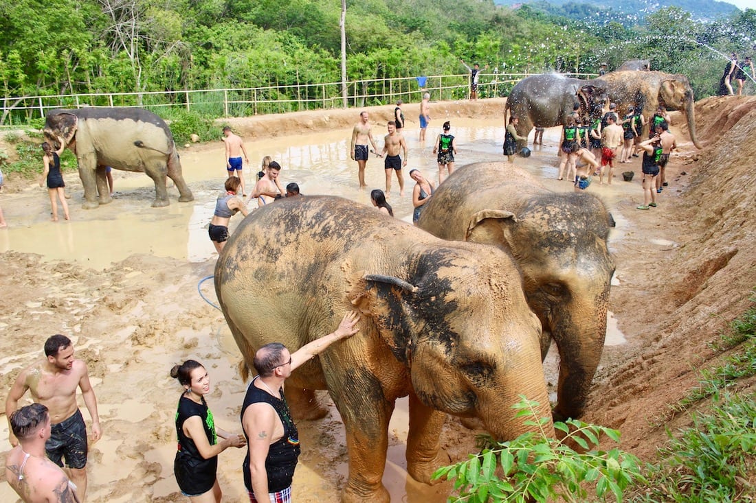santuario elefanti thailandia
