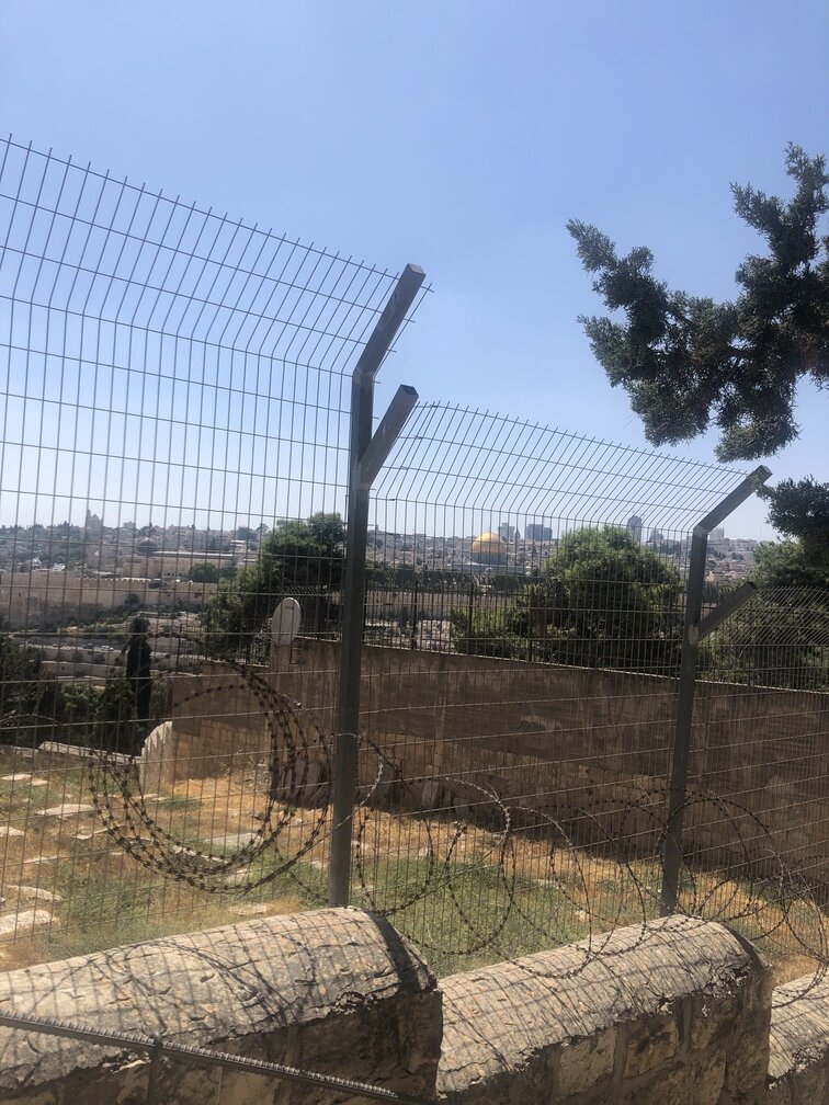 Vista dal Monte degli Ulivi Gerusalemme