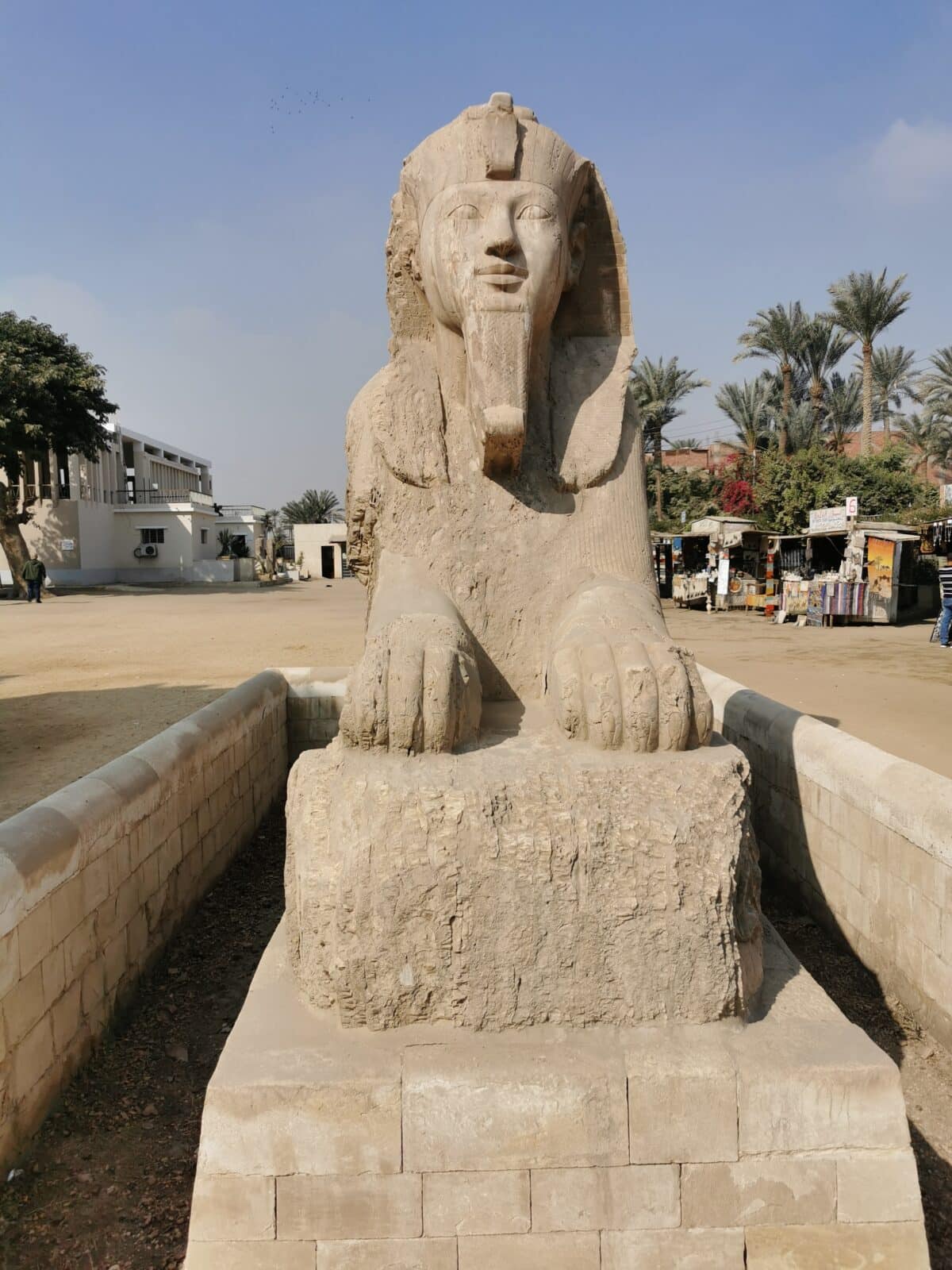 La sfinge di alabastro di Memphis in Egitto