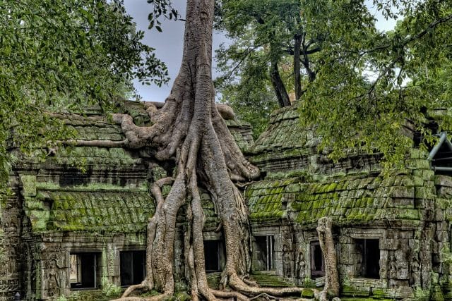 Ta Phrom in Cambogia