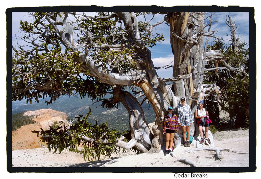CEDAR BREAKS