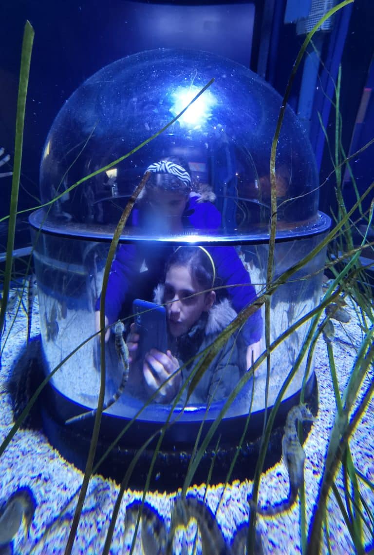 Bristol Aquarium