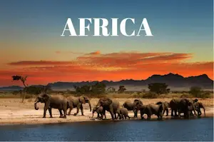 Safari in Africa con elefanti e paesaggi della savana al tramonto