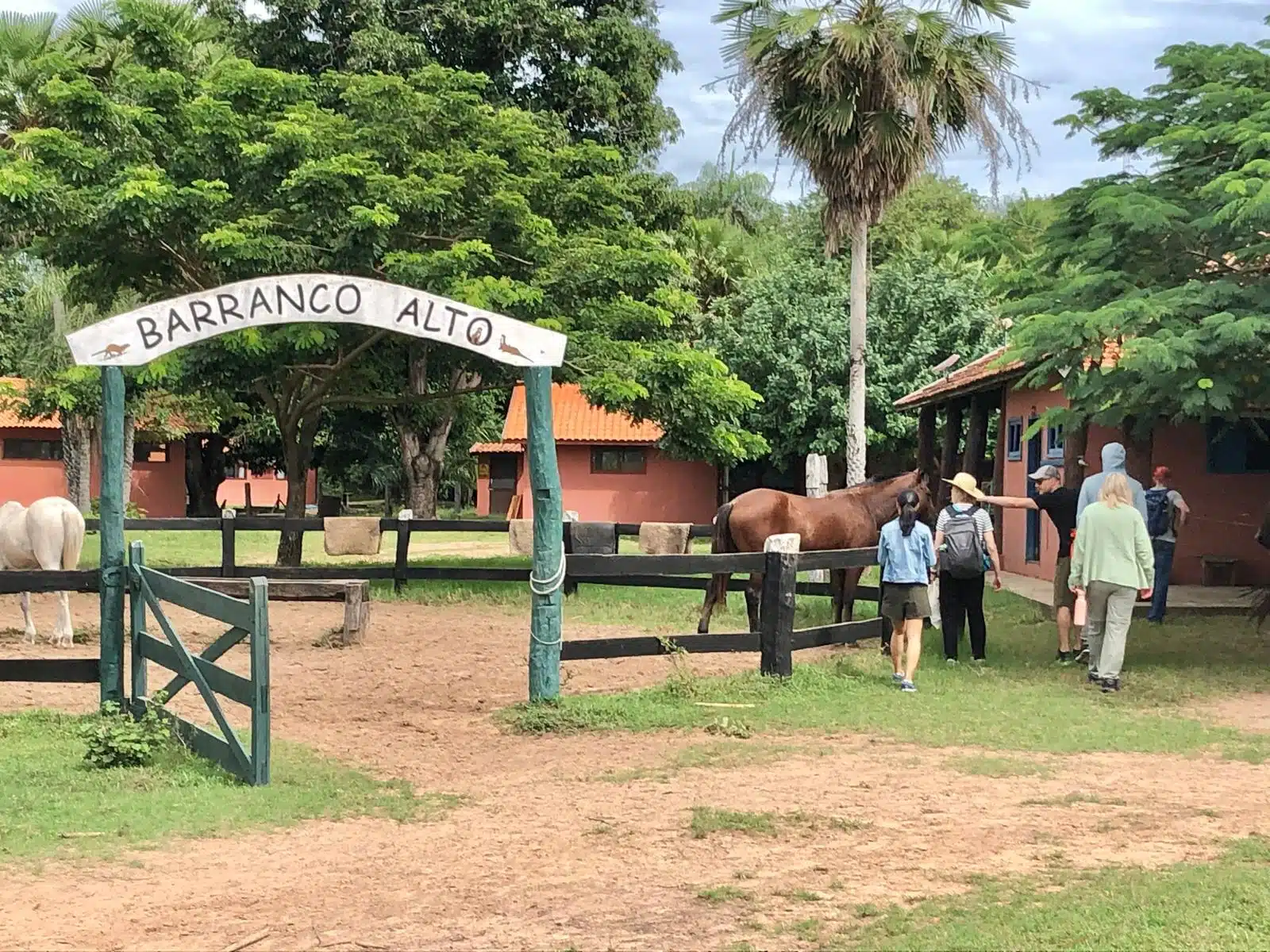 Pantanal Brasile: cosa vedere, dove dormire e come organizzare il viaggio