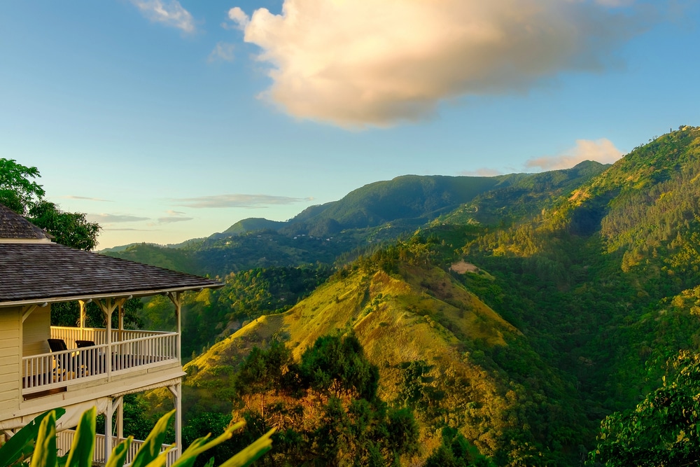 Blue Mountains jamaica